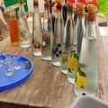 CPDE-PicNic 2024-128